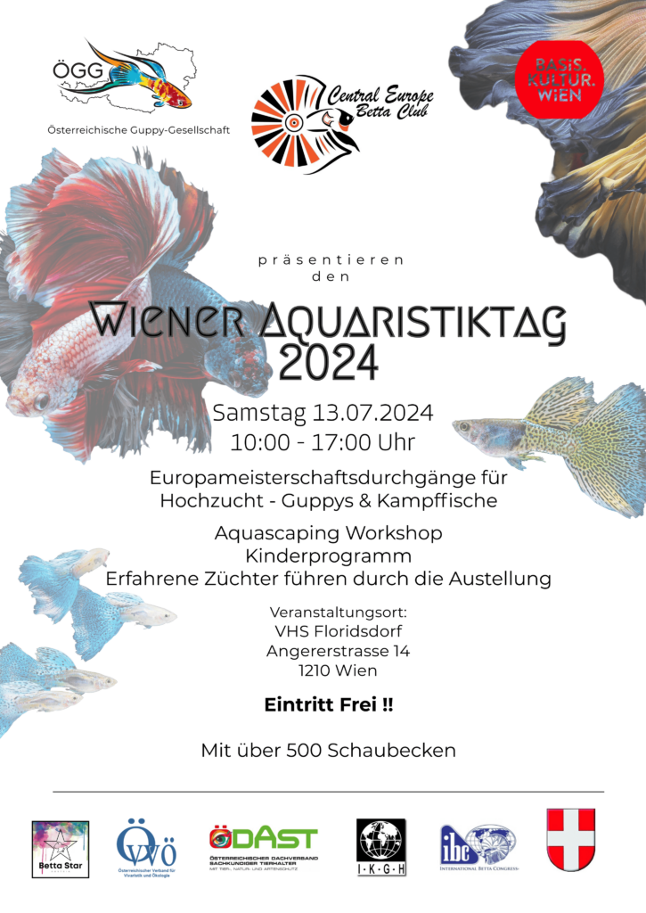 Guppy EM 2024 Wien