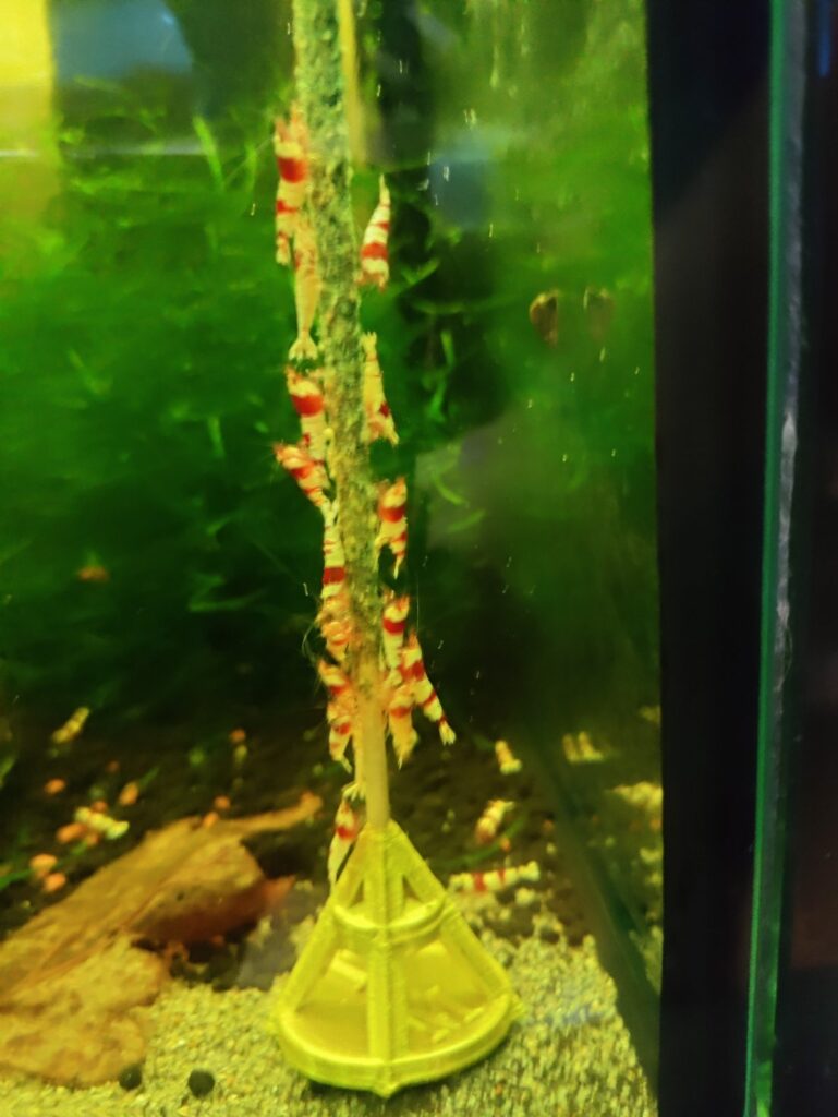 Jumbo Fisch & GArnelen Sticks