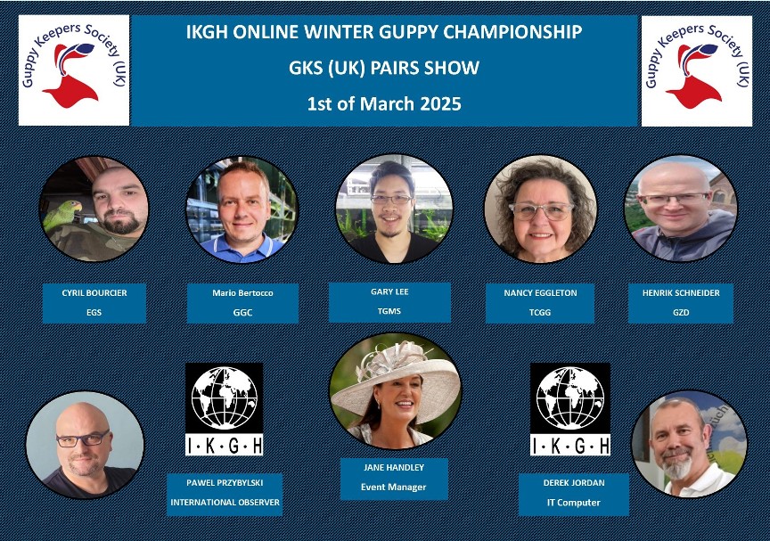 Profesionelles Preisrichter Team bewertet die eingereichten Guppy Videos