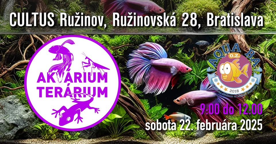 Fischbörse 22_02_205 Bratislava