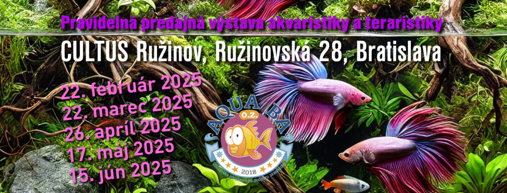 Fisch und Reptilien Börse Bratislava 22_02_2025