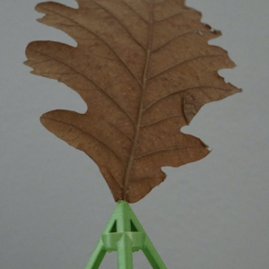 3D Halter für Blätter in diesem Falle speziell für trockess Eichenblatt