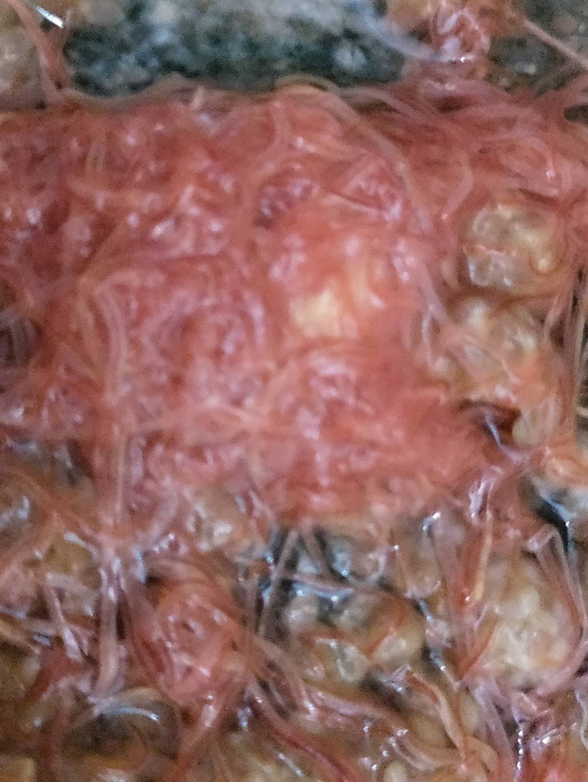 Izya Worms Izrael Tubifex zucht
