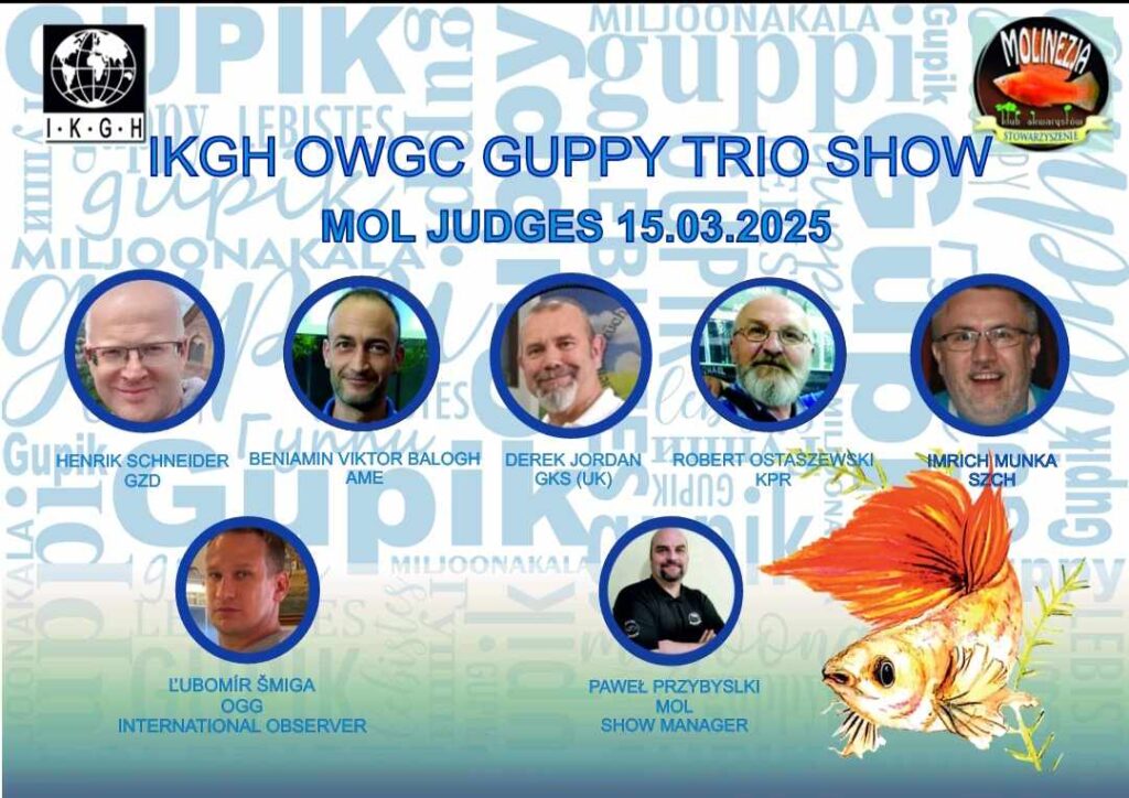 Trio Guppy Preisrichter 15.3.2025