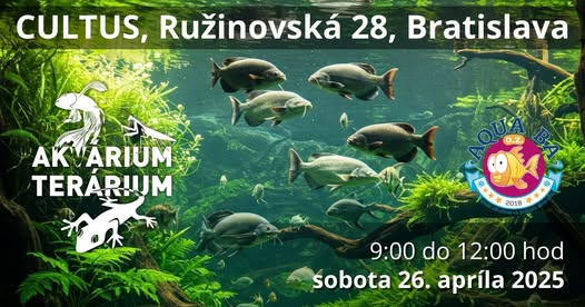 Aquaristik Börse in Bratislava am 26.4.2025
