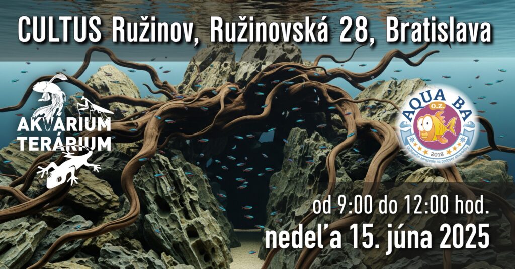 Bratislava ein Treffpunkt für Fisch, Reptilien und Wirberlosen Liebhaber