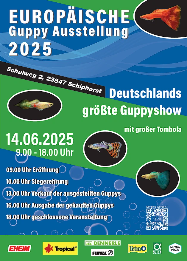 EM Guppy Pärchen Ausstellung in Deutschland