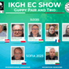 Pärchen und Trio Guppy EC durchlauf 2025 in Sofia