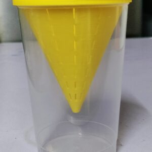 Einfach und nachhaltig diese Fruchtfliegen Falle