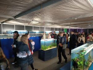 Besucher bestaunen die Ausstellung