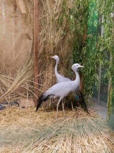 so wunderschön kann die natur sein