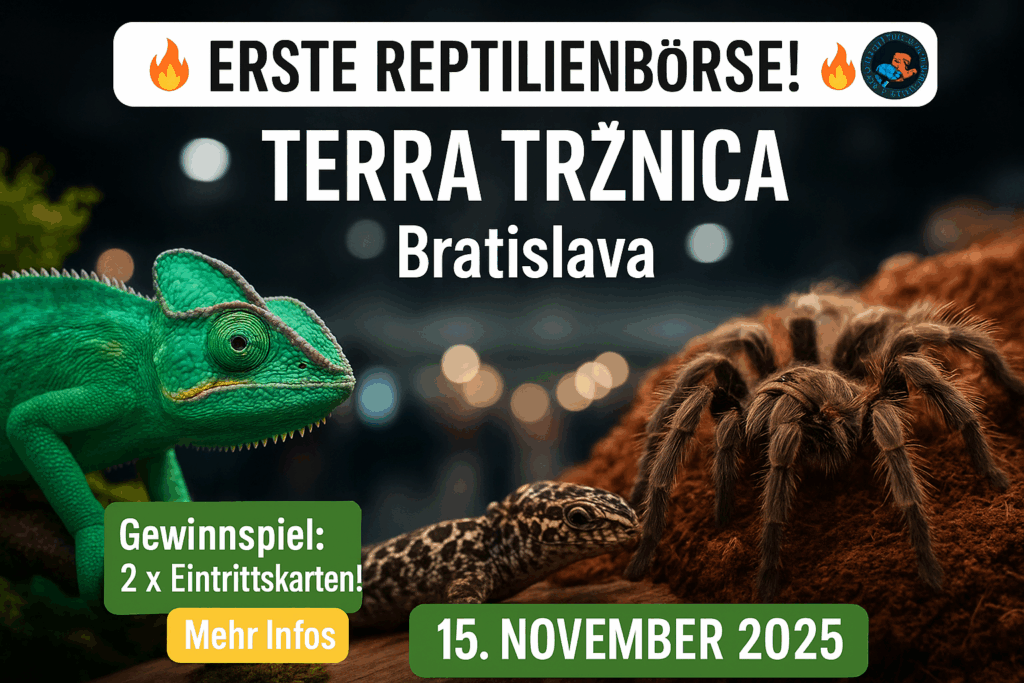 Reprilinebörse in Bratislava das erste mal!
