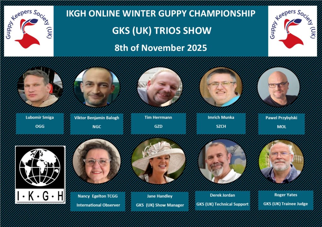 Die Preisrichter der Trio guppy online show 2025