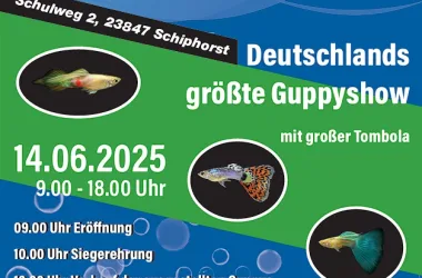 EM Guppy Pärchen Ausstellung in Deutschland