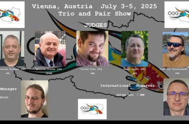 Guppy Show in Wien 2025 geht wieder mit renommierten Preisrichter über die Bühne