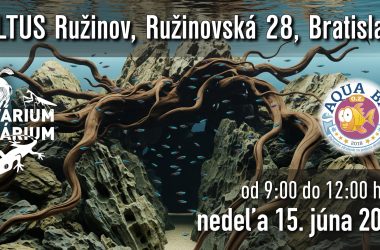 Bratislava ein Treffpunkt für Fisch, Reptilien und Wirberlosen Liebhaber