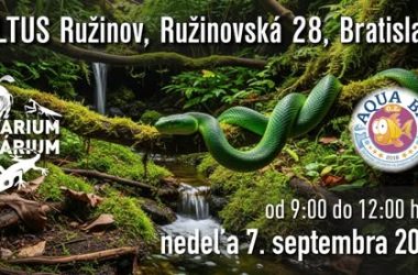Fisch und Reptilinen Börse in Bratislava am 07_09_2025